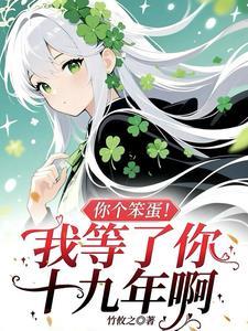 你个笨蛋!我等了你十九年啊